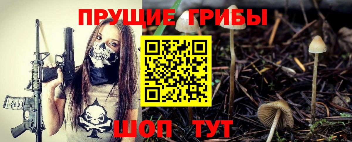 наркота  Галлюциногенные грибы Psilocybe  Псилоцибиновые грибы Psilocybe  Вход с VPN  Хабаровск 